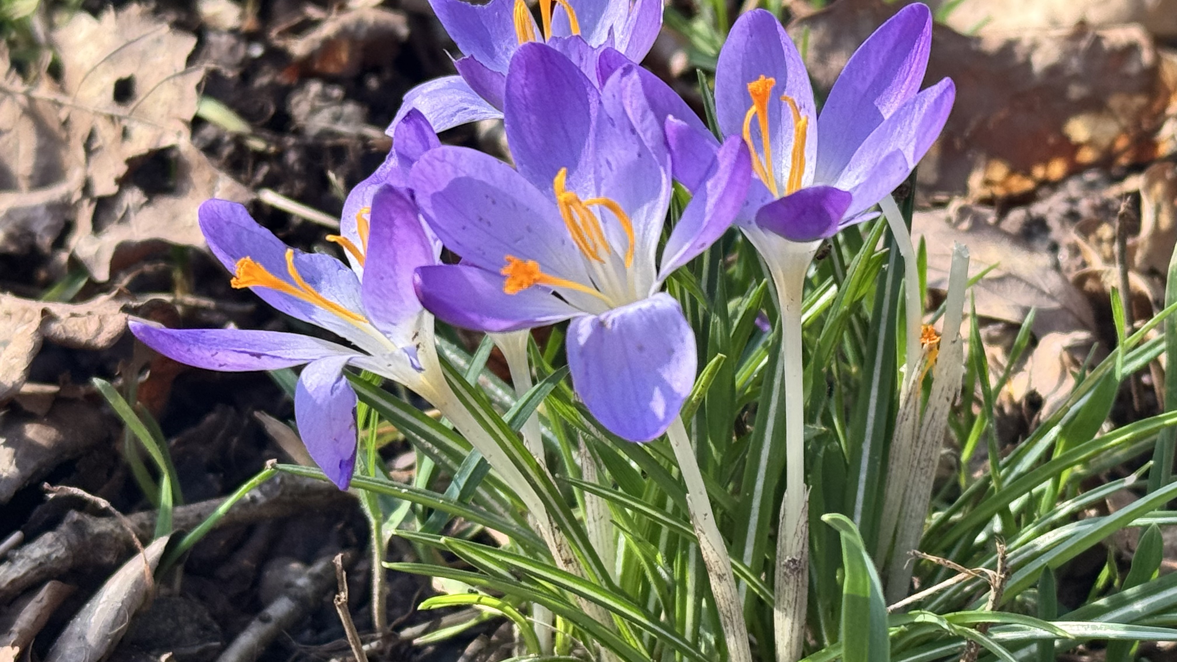 Wir wünschen Ihnen einen guten Start ins schöne Frühlingswochenende