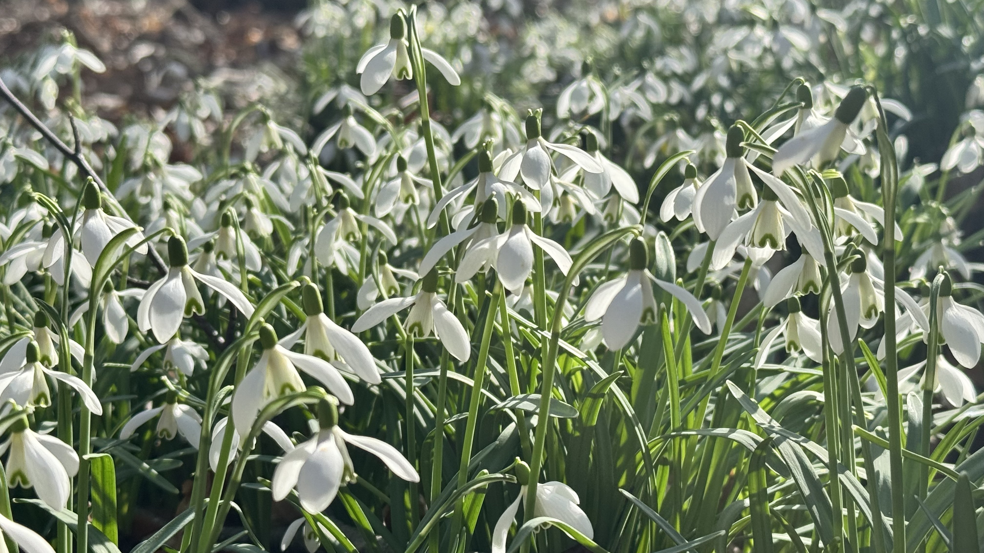 Wir wünschen Ihnen einen guten Start ins schöne Frühlingswochenende